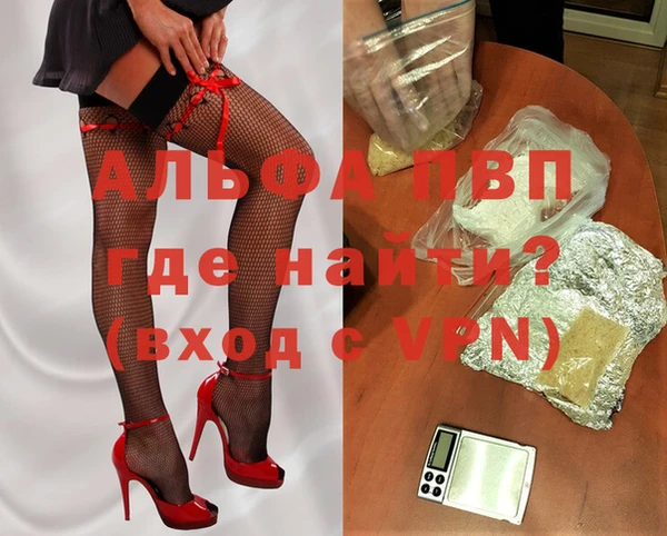 сатива Кукмор
