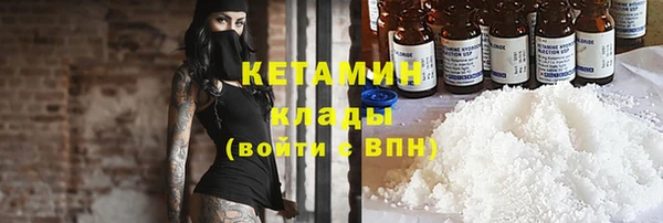сатива Кукмор
