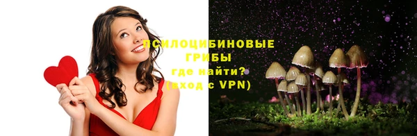 сатива Кукмор