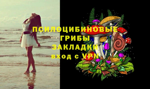 сатива Кукмор